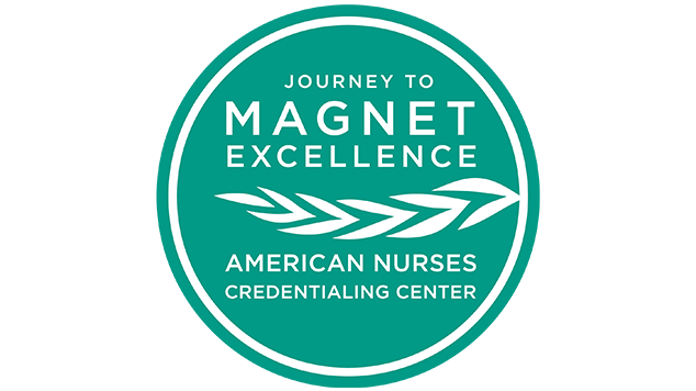 Journey to magnet excellence