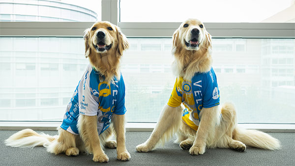 Kid and Trotter Facility Dog Program at Cleveland Clinic Children's