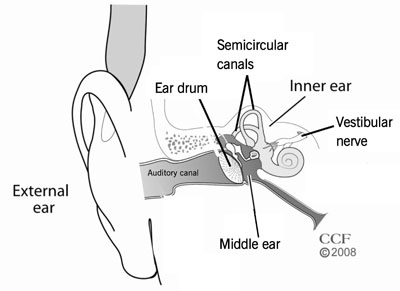 ytre øre, mellomøre, indre øre, vestibulær nerve, halvsirkelformede kanaler, trommehinne, hørselskanal