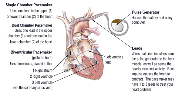  Treatment, Prevention, Outlook