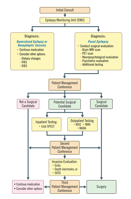 Pathophysiology Of Seizure Flow Chart