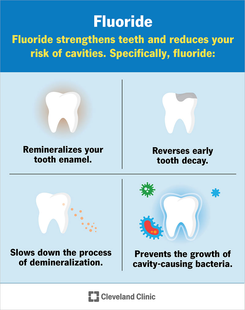 Fluoride remineralizes enamel, reverses early decay and reduces bacteria.