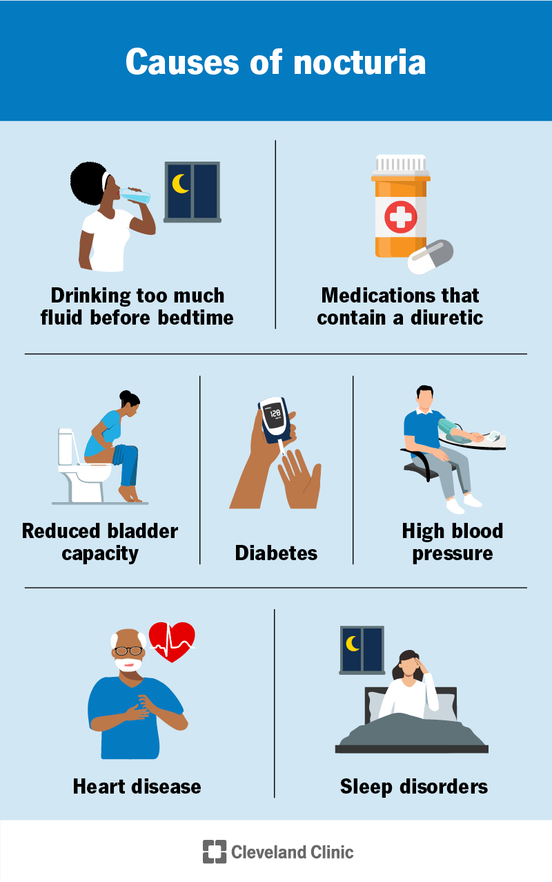 Common nocturia causes include drinking too many fluids before bedtime and certain medications and healthcare conditions.
