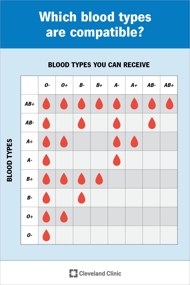 Blood Types: What They Are And Mean For Your Health