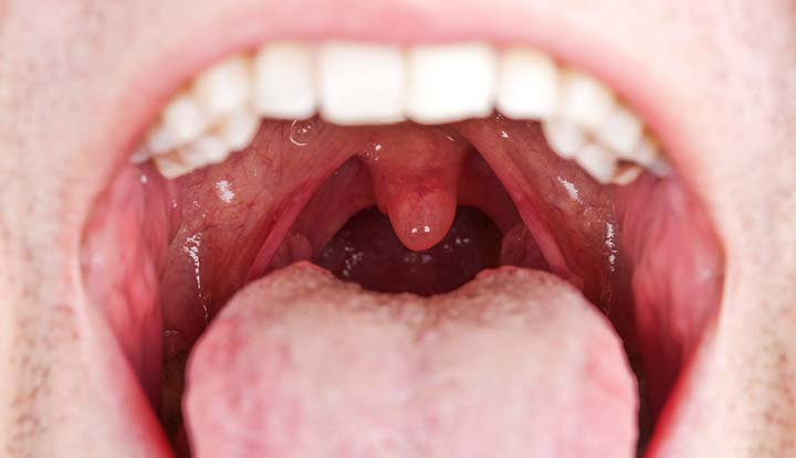 Mouth: Anatomy, Function & Care