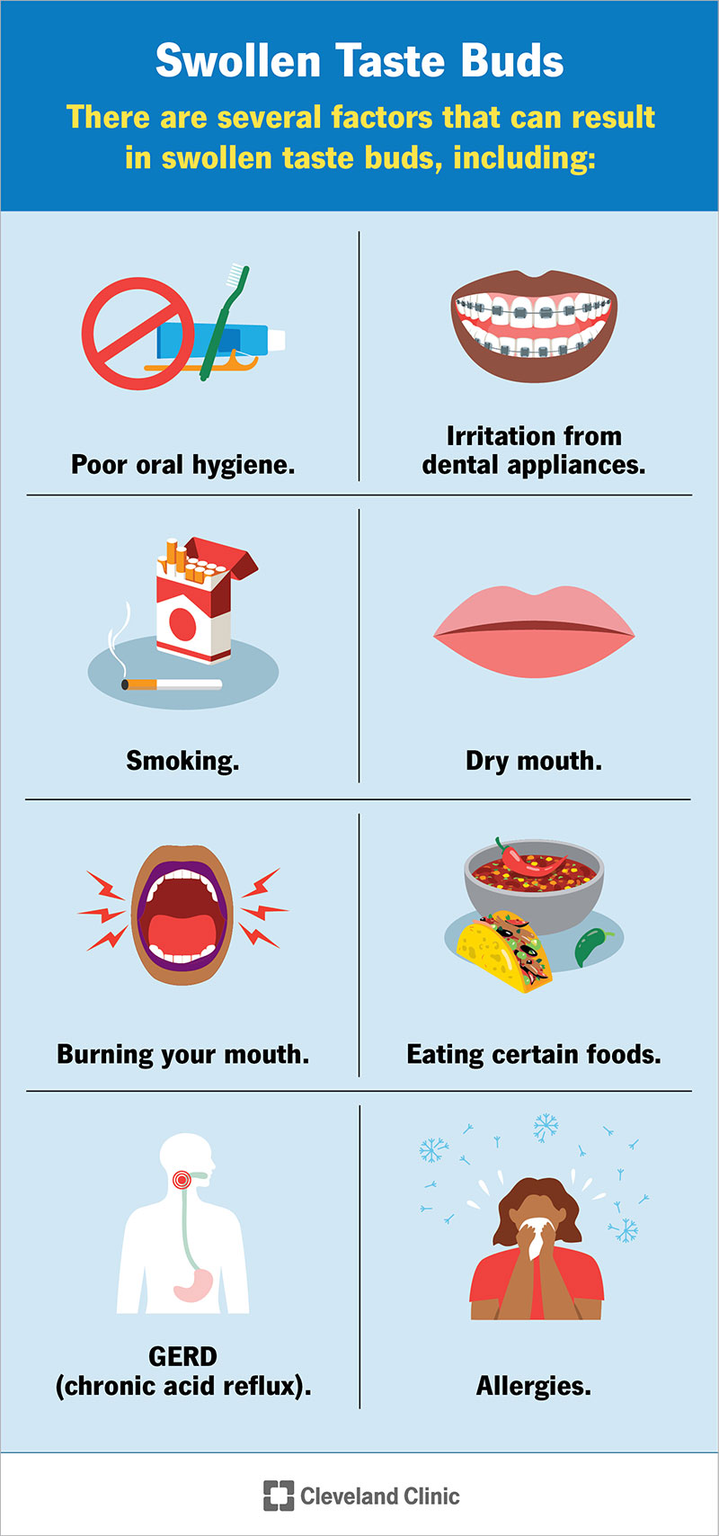 Swollen taste bud risk factors, including poor oral hygiene, smoking and dry mouth.