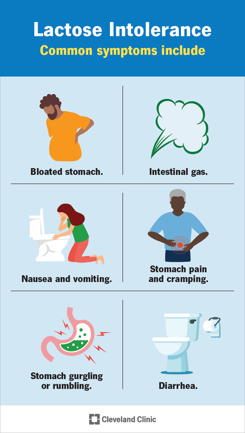 Common symptoms of lactose intolerance include bloating, gas and diarrhea.