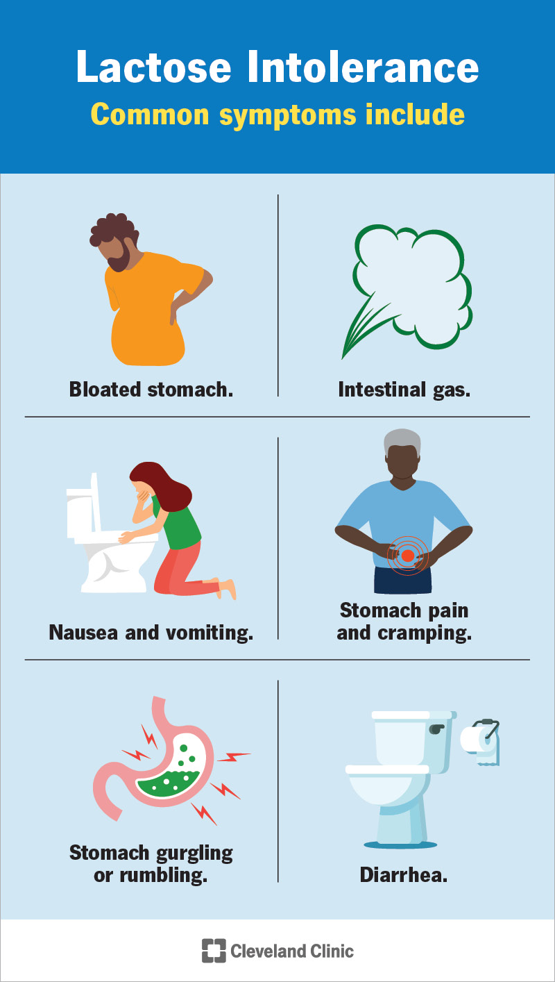 Lactose Intolerance Symptoms Diagnostic Tests Treatment