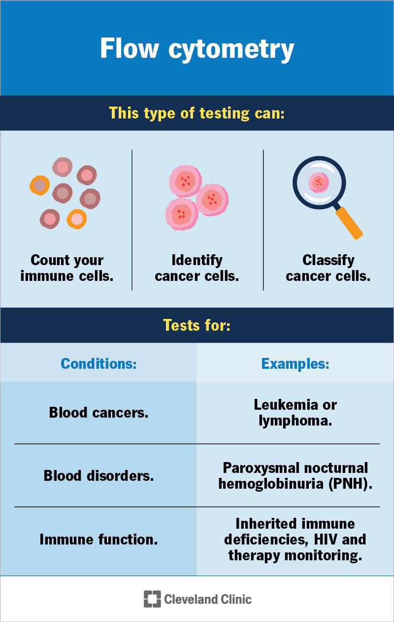 Flow cytometry can count immune cells, identify cancer cells, classify cancer cells and and test for conditions