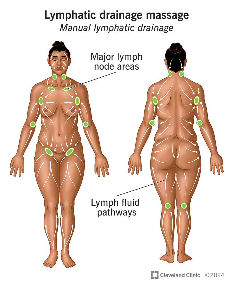 Major lymph nodes and lymph fluid pathways for lymphatic drainage massage.