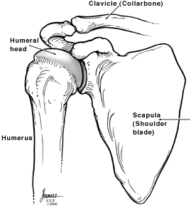 Shoulder Joint Replacement Surgery