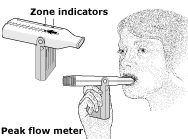 Asthma Check Peak Flow Meter Chart