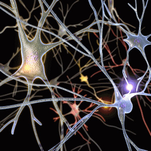 neurons illustration