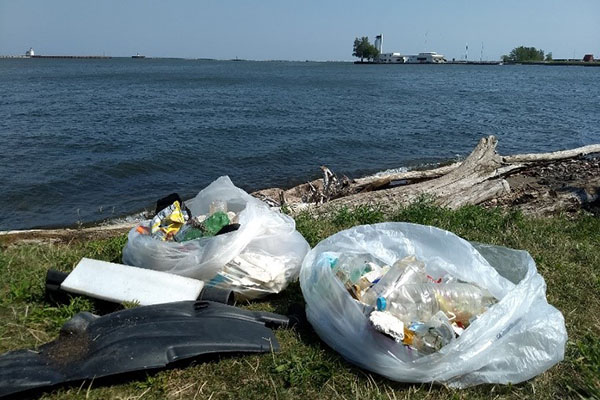 Beach Clean Ups Ecochallenge | Cleveland Clinic