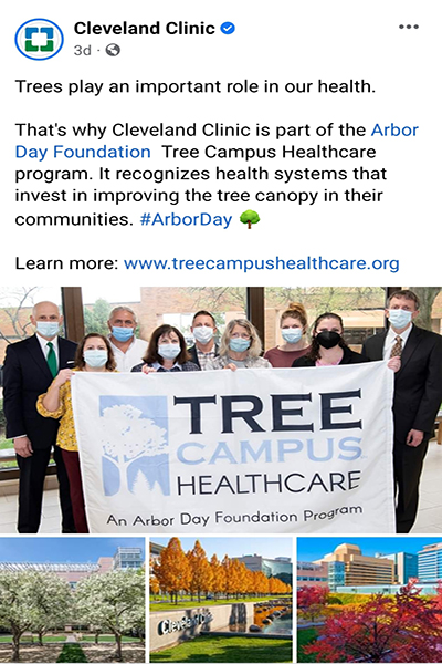 Arbor day Facebook Post