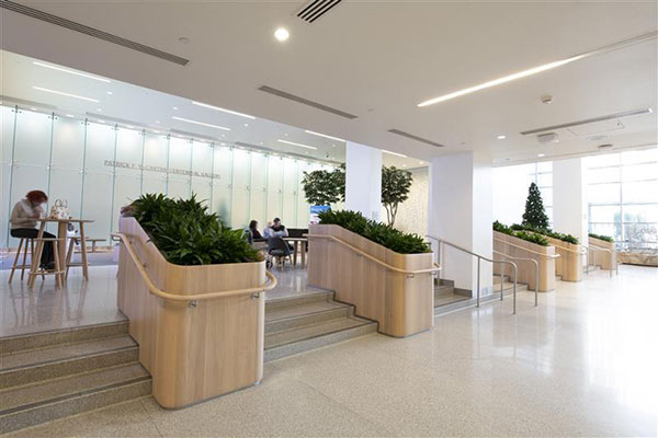 Interior of building with greenery features
