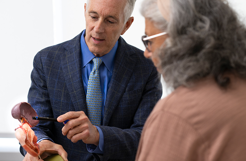 A doctor explaining pancreatic cancer on a model.