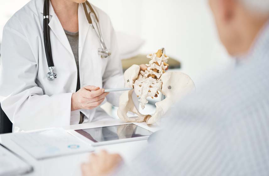 Doctor reviewing hip bones on skeleton with patient