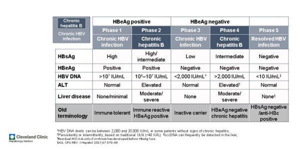 Hepatitis B Cleveland Clinic