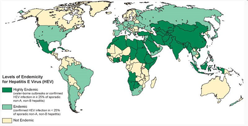 Figure 2: Geographic distribution of hepatitis E-outbreaks or confirmed infection in more than 25% of cases of sporadic non-ABC hepatitis.