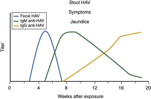 Figure 1. Serology in relation to signs and symptoms.