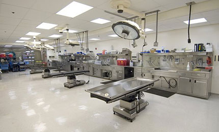 Surgical Skills Training Lab (L1-300)