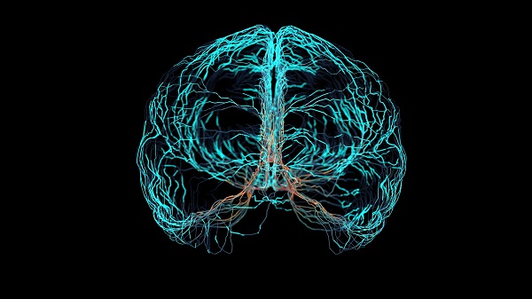 photo illustration of brain