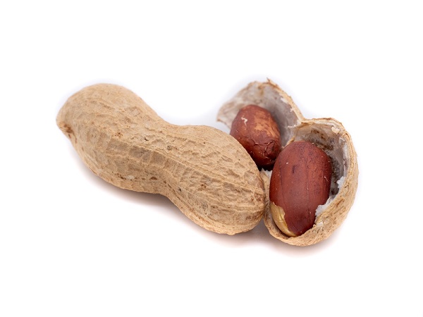 peanut image