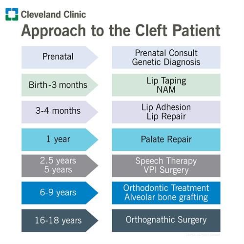 Chart showing different treatments for cleft lip and cleft palate and the age the treatment is performed