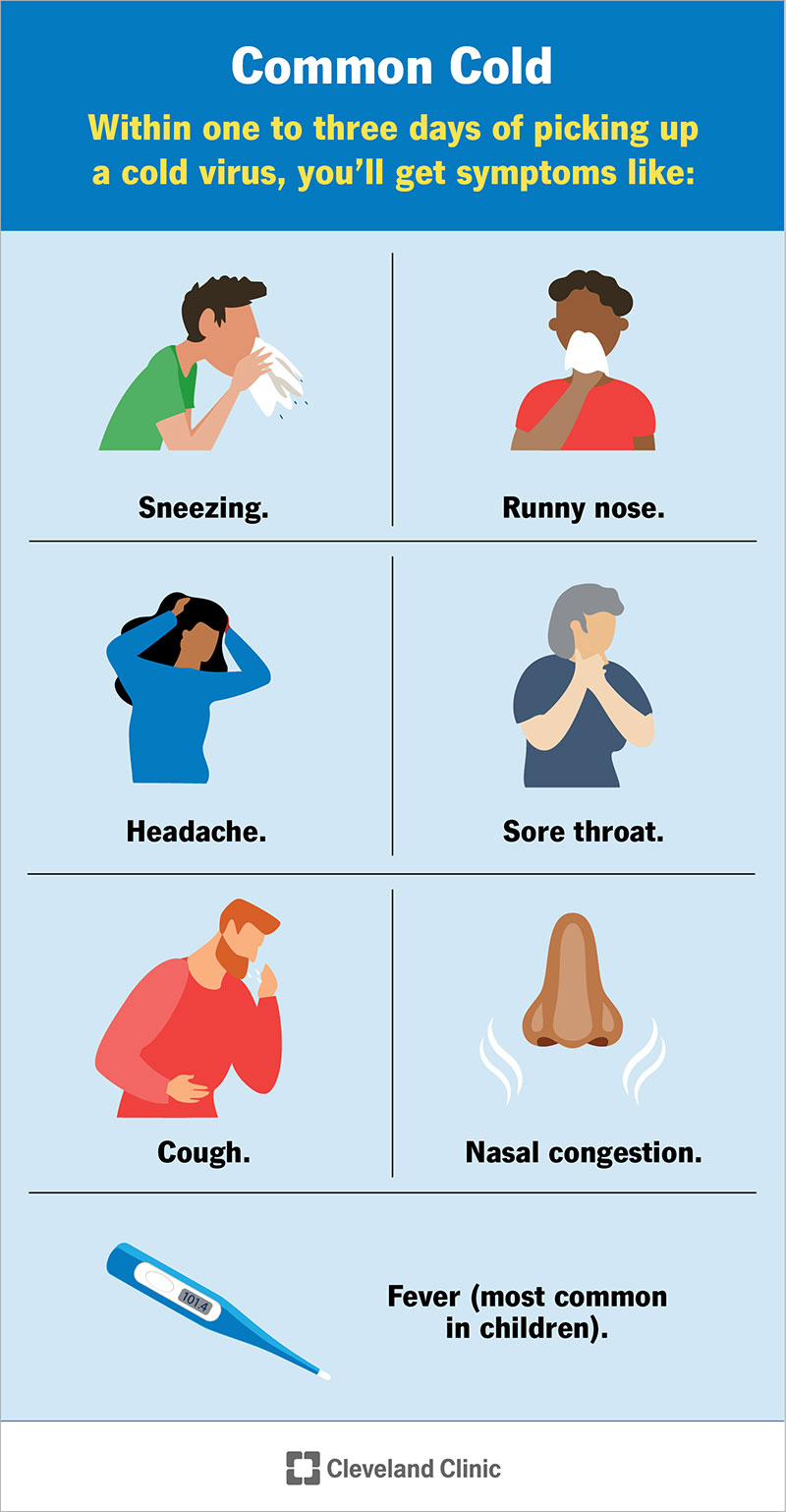 The first sign of the common cold is often a sore throat. Other early symptoms may include runny nose, sneezing and coughing.