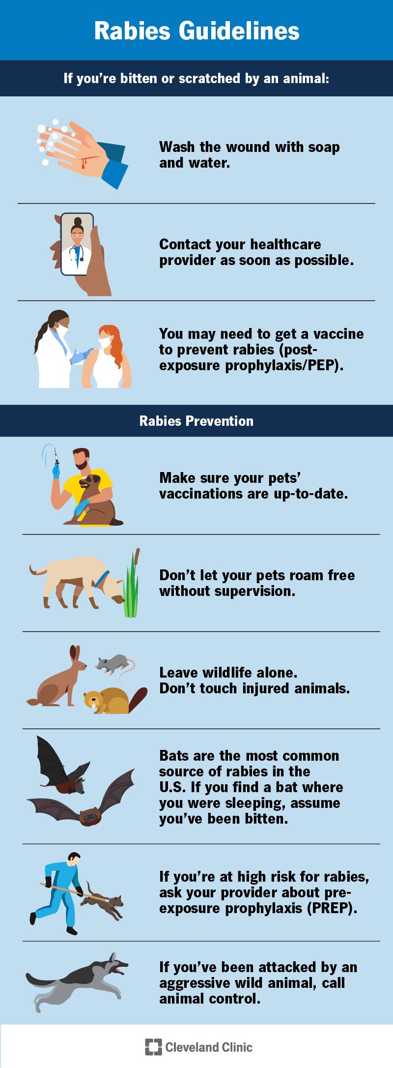 Rabies prevention tips. Clean all wounds. Ask your provider if you need a rabies shot. Leave wildlife alone. Vaccinate pets.