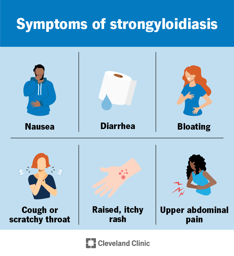 Symptoms of strongyloidiasis, including rash, nausea, diarrhea, upper abdominal pain, bloating, cough and scratchy throat