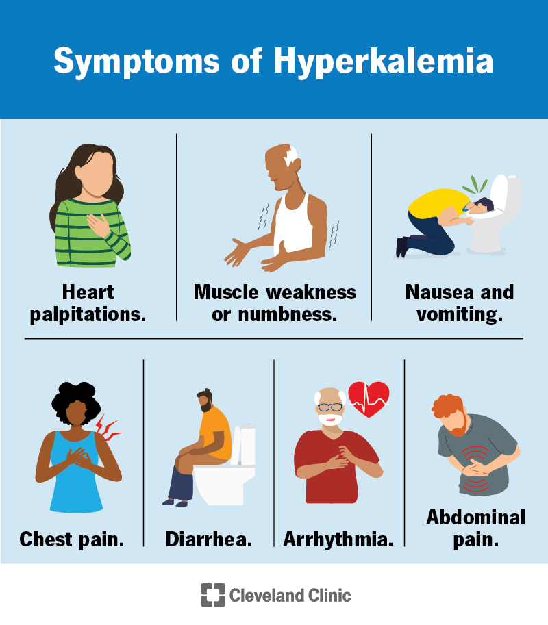 Mild hyperkalemia symptoms usually include abdominal issues. Severe hyperkalemia symptoms include chest pains, arrhythmia and muscle weakness.