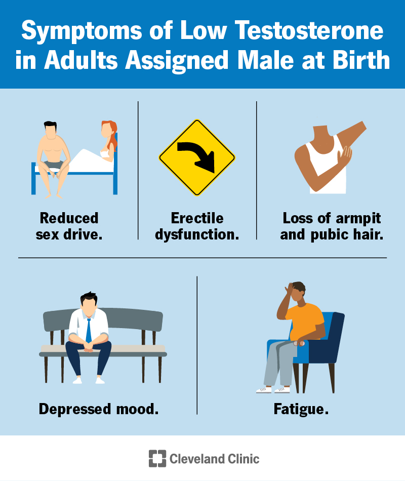 The symptoms of low testosterone in adult men include reduced sex drive, erectile dysfunction, fatigue and more.