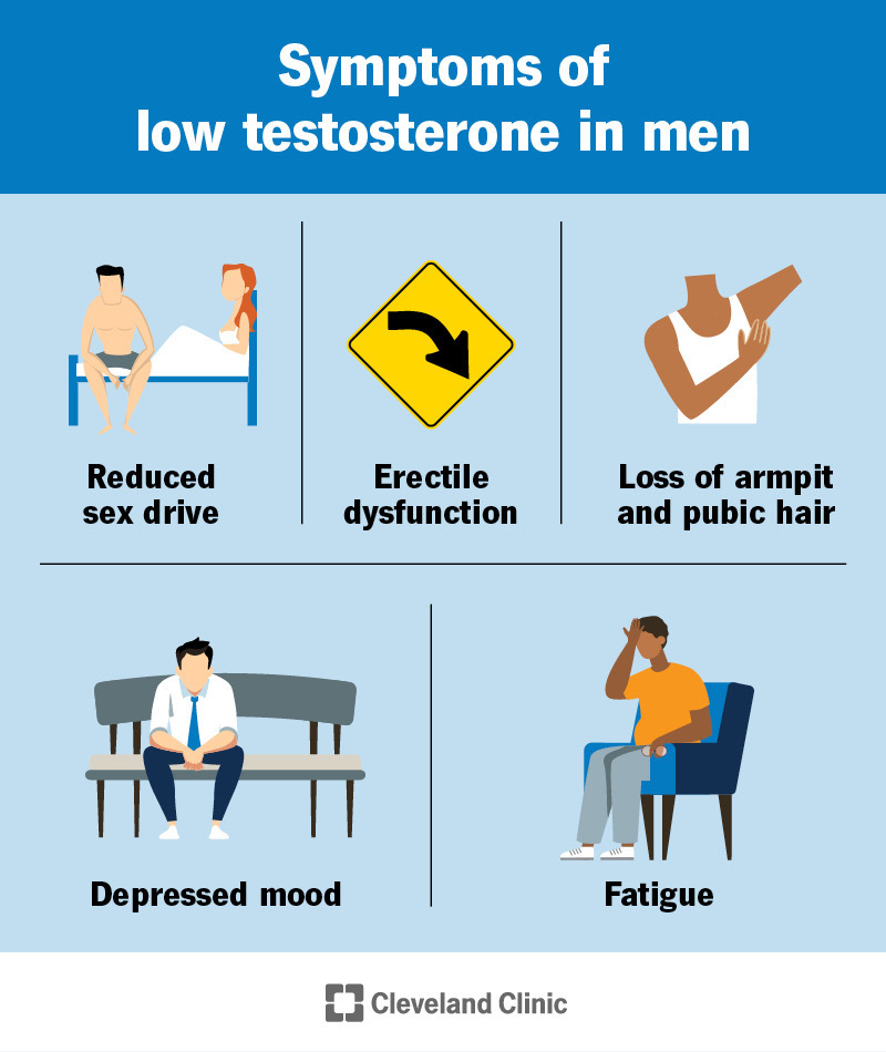 The symptoms of low testosterone in adult men include reduced sex drive, erectile dysfunction, fatigue and more.