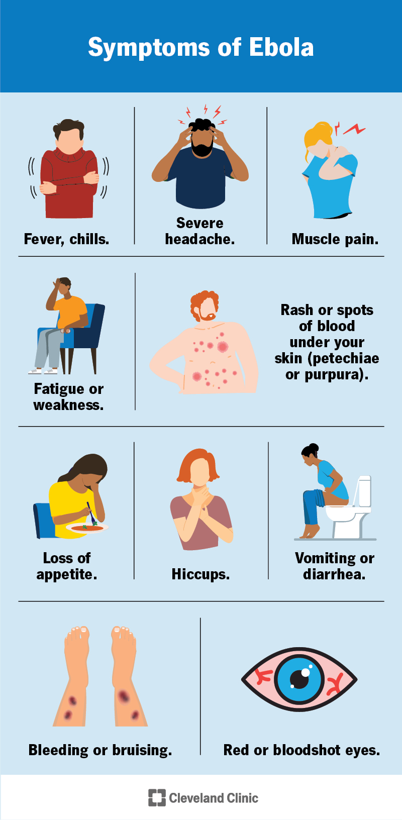 Symptoms of Ebola include fever, headache, muscle pain, fatigue, rash, vomiting, diarrhea, bleeding and more.