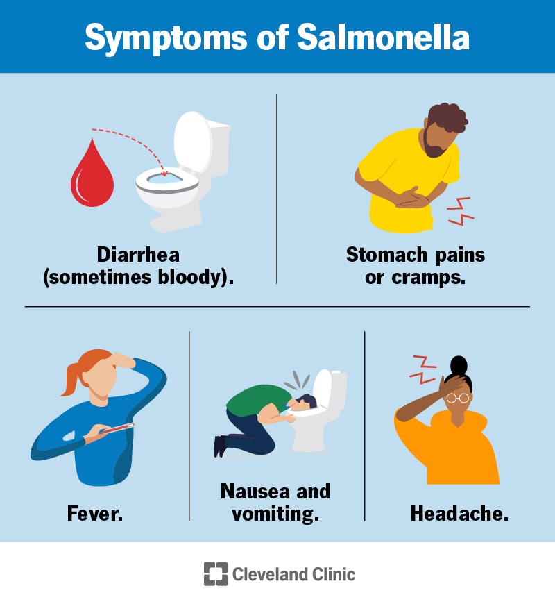 Salmonella: Outbreaks, Causes, Symptoms & Treatment