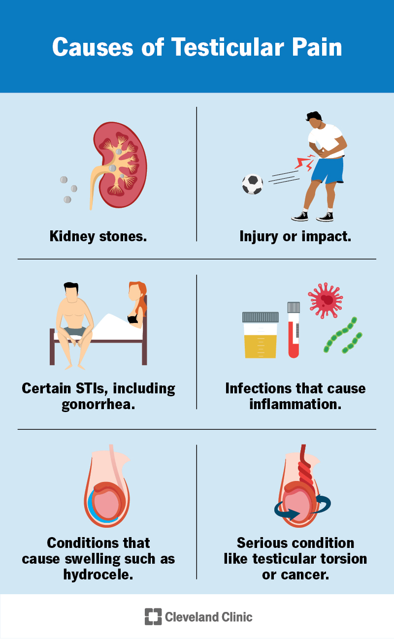 How To Prevent Swollen Testicles Ask The Nurse Expert