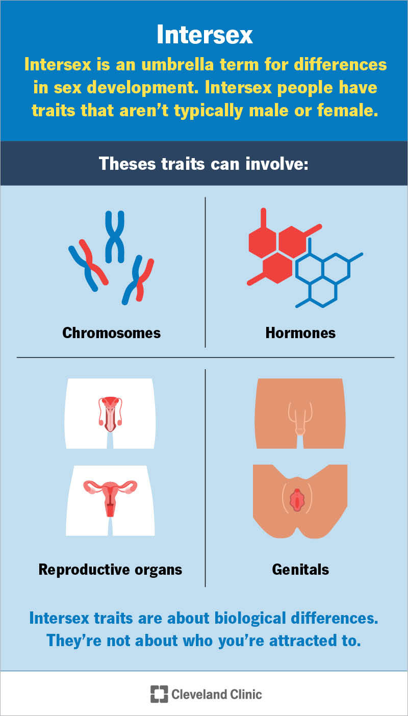 Intersex trait differences, like in chromosomes, hormones, reproductive organs or genitals