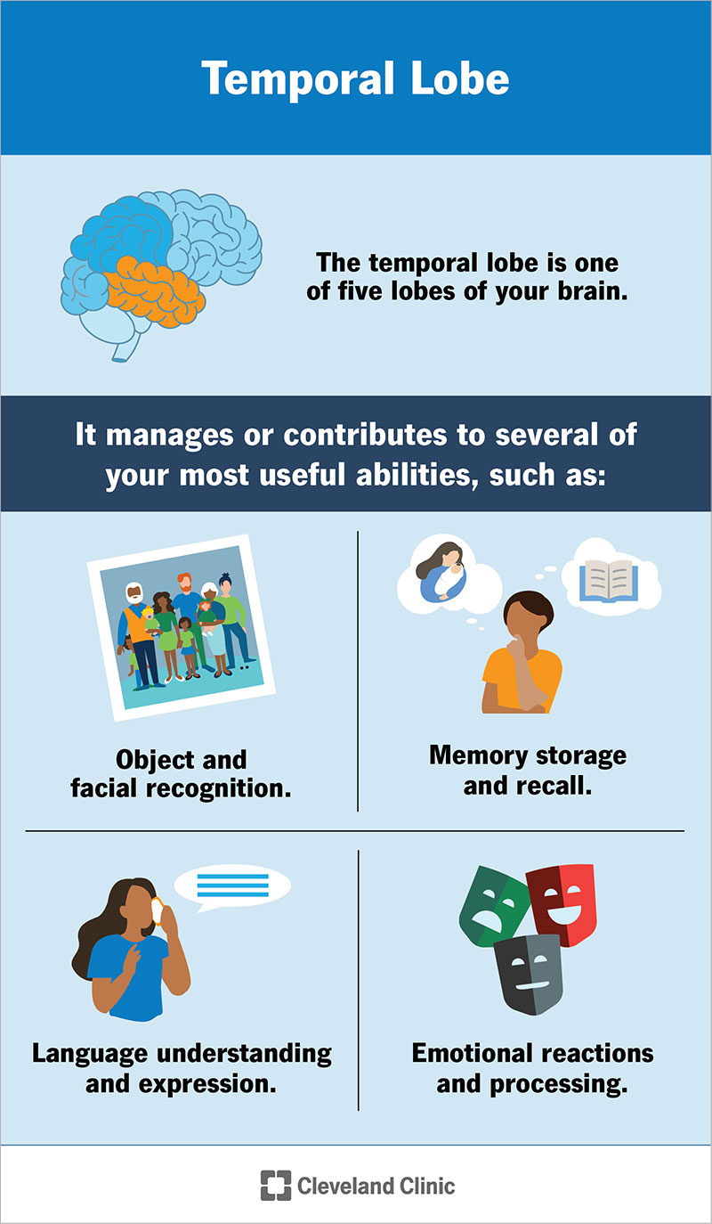 Parietal Lobe: What It Is, Function, Location & Damage