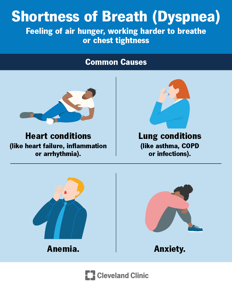 Causes of dyspnea, or shortness of breath, include heart and lung conditions, anemia and anxiety.