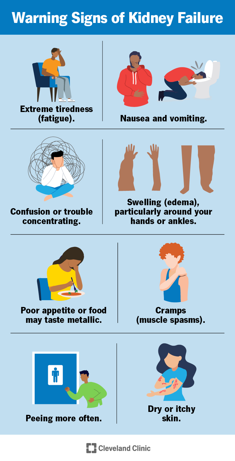 People with kidney failure may feel sick and confused. They also may have swelling, cramps, fatigue and may pee more often.