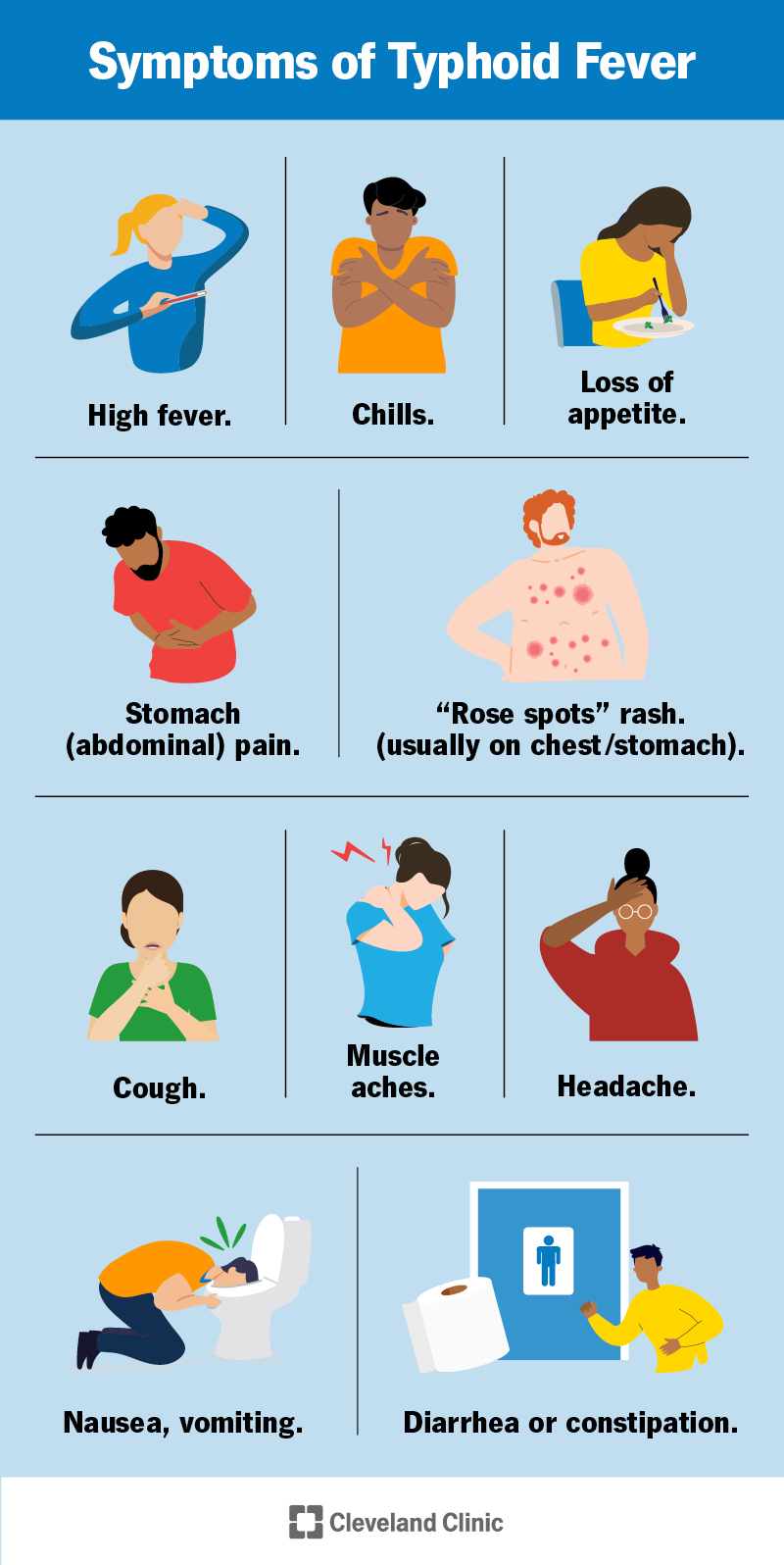Symptoms of typhoid include high fever, stomach pain, rash, cough, muscle aches, vomiting, diarrhea, constipation and more.