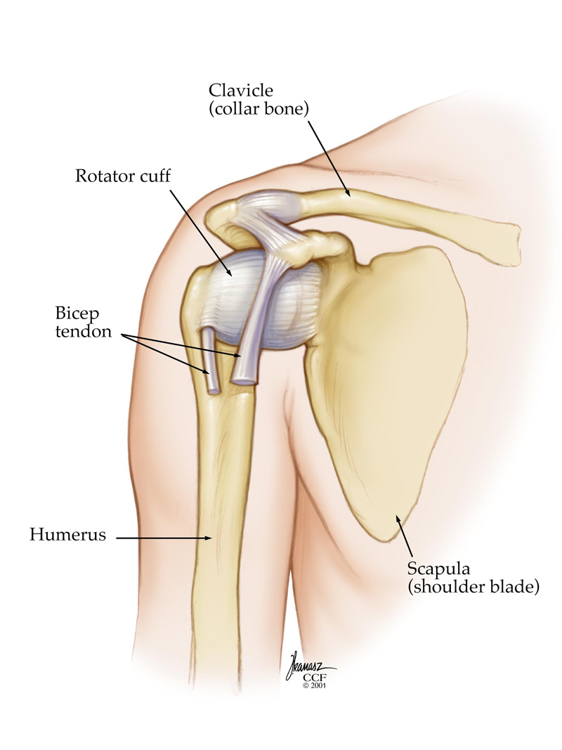 Getting Ready for Shoulder Surgery – my shoulder recovery