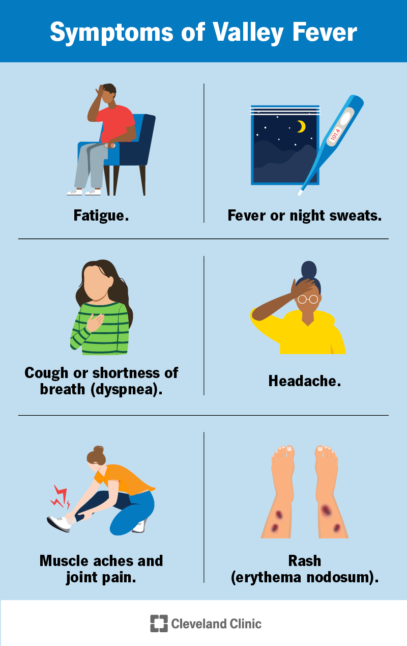 Symptoms of Valley fever include fatigue, fever, cough, shortness of breath, headache, muscle or joint pain and rash.
