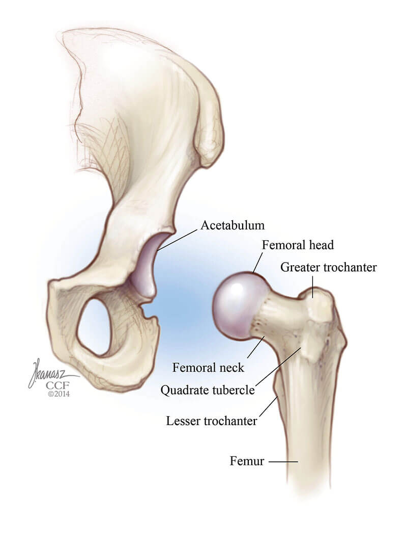 labrum injury