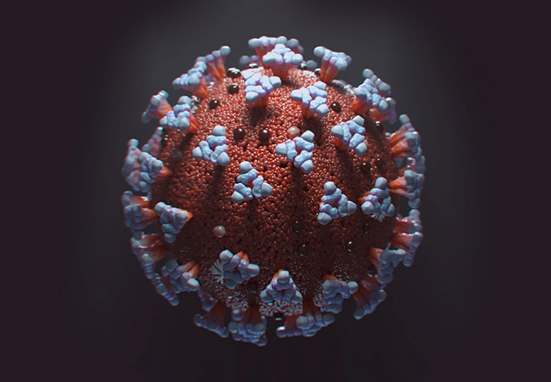 Microscopic rendering of Coronavirus, a virus identified as the cause of an outbreak of respiratory illness.