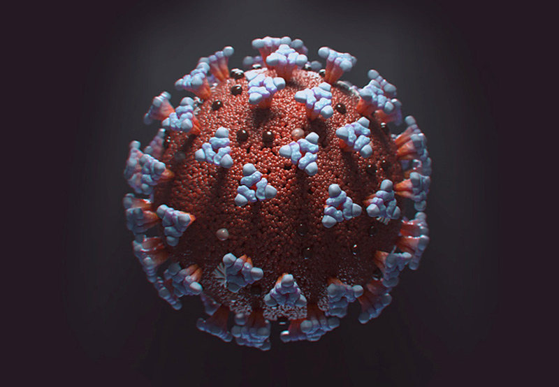 How Long Can a Virus “Live” Outside the Body?