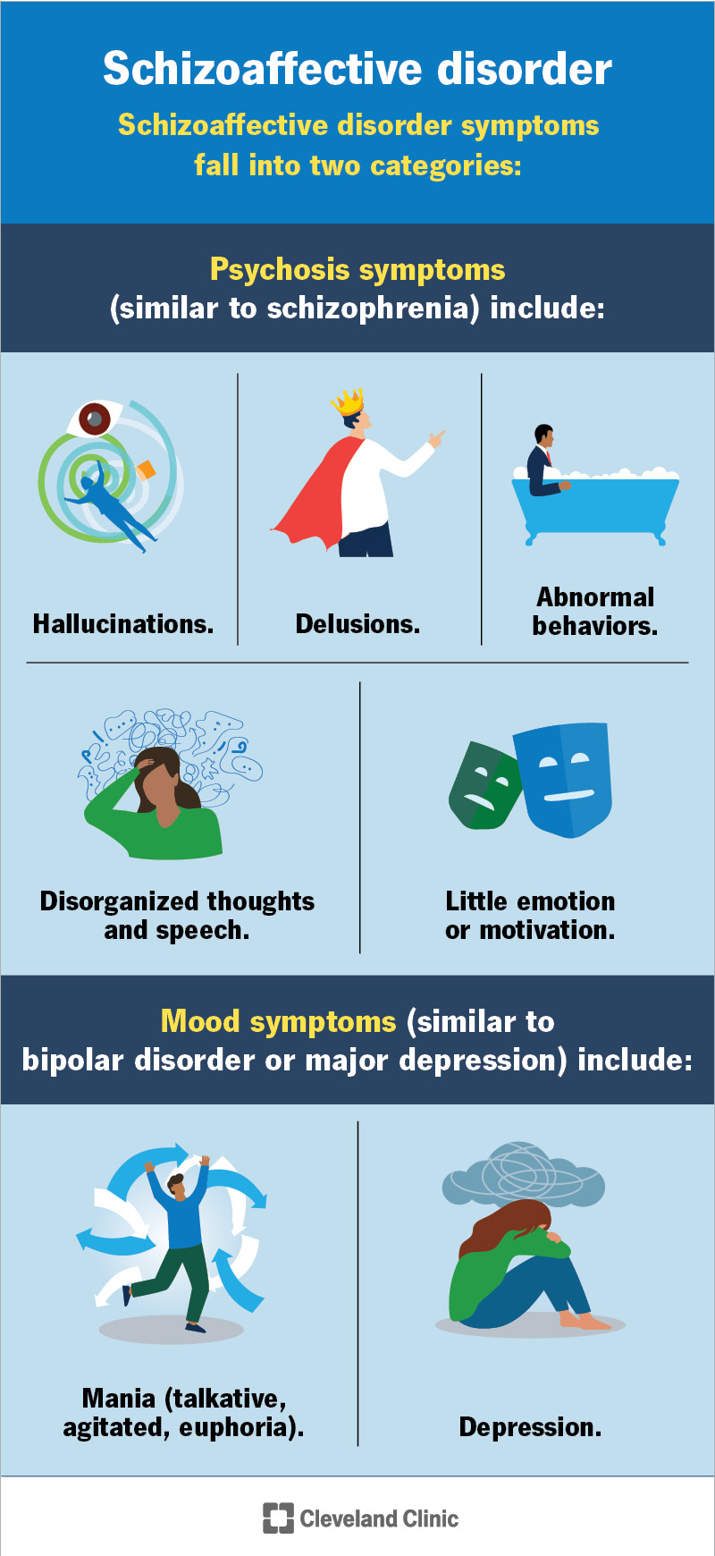Psychosis and mood symptoms are two categories of schizoaffective disorder symptoms.