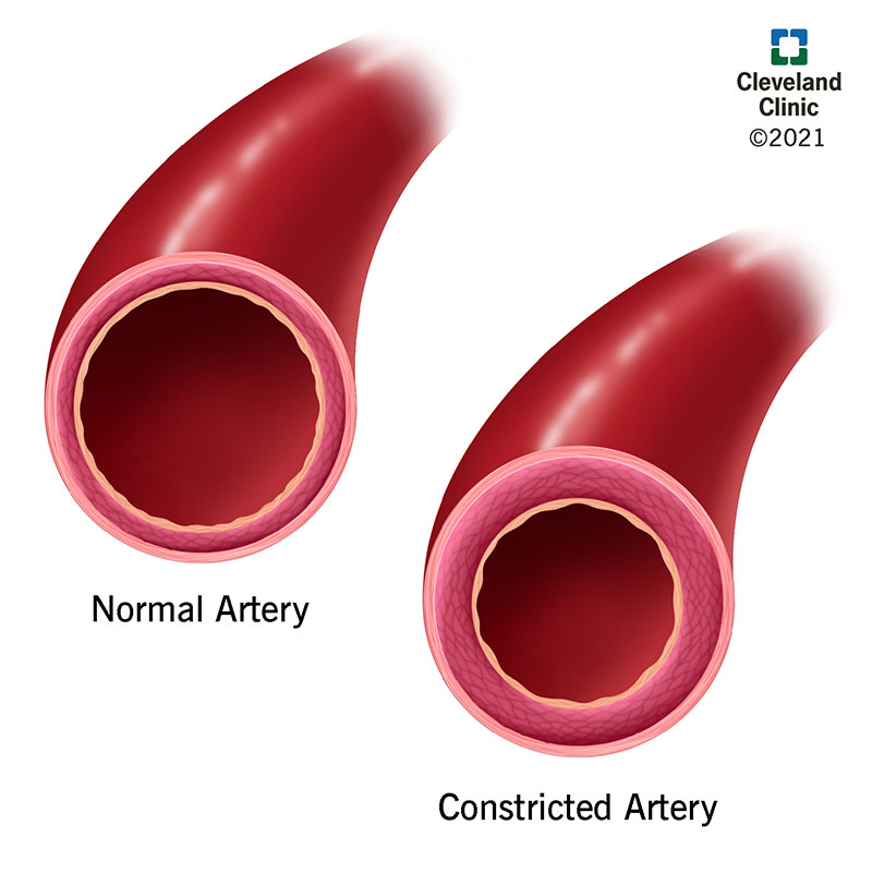 Cold Water Constricts Blood Vessels